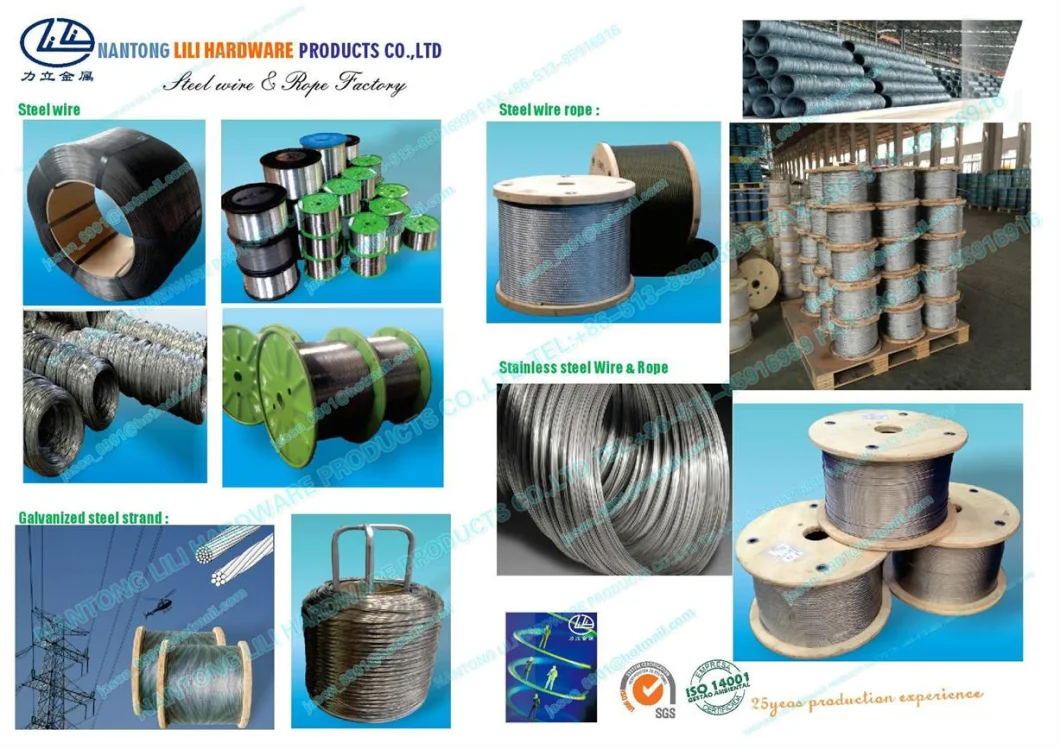 Steel Wire, Steel Rope, Stainless Steel Wire, Stainless Wire Rope, Carbon Steel and Straightened & Cut Wire