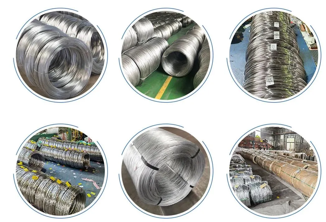 Factory Supplier Galvanized/Alloy/ Stainless Steel 304, 316, 304L, 316L Wire