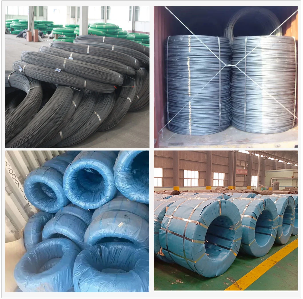 Construction Material High Carbon Alloy Steel Wire Rod/Steel Wire with High Quality