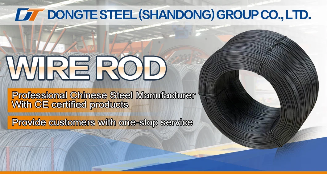 Construction Material High Carbon Alloy Steel Wire Rod/Steel Wire with High Quality